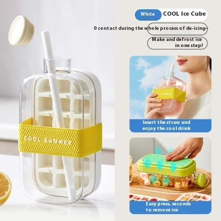 Cool Summer Ice Bottle Cup