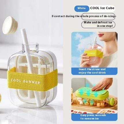 Cool Summer Ice Bottle Cup