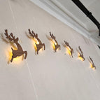 7 reindeer