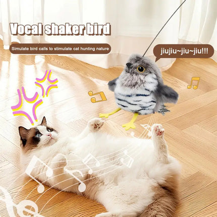 Interactive Cat Toy