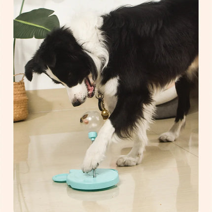 Snackchase Toy