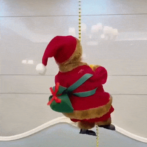 Climbing Santa Claus