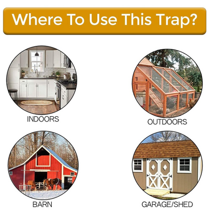 Bucket Lid Mouse Trap