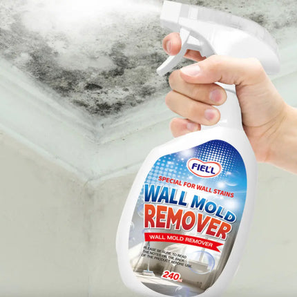 Wall Mold Remover Spray